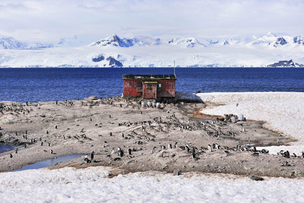 Mikkelsen Harbour on Trinity Island where Gentoo pinguins nest close to an old whale station
