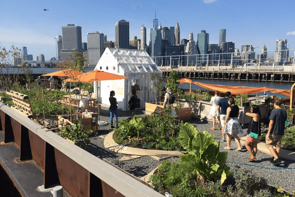 Swale Uszaly Hajo Zoldseg Gyumolcs Farm New York HAJOZASHU1