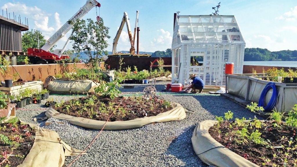 Swale Uszaly Hajo Zoldseg Gyumolcs Farm New York HAJOZASHU3