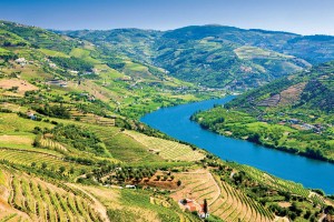 douro-valley-porto-travel-hajozashu