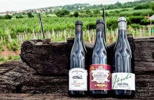 jasdi-borterasz-balaton-csopak-hajozashu