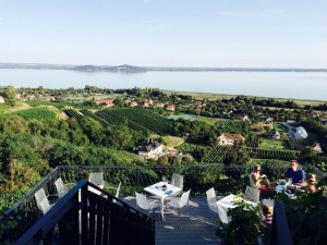 laposa-birtok-boraszat-etterem-balaton-badacsony-hajozashu