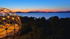 Balatonboglar-Gombkilato-Latnivalok-Balaton-Csodalatosbalaton-HAJOZASHU