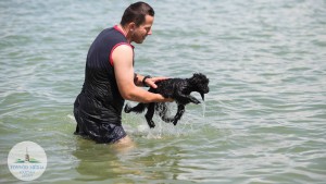 fonyod-kutyastrand-balaton-hajozashu