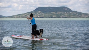 fonyod-kutyastrand-balaton-hajozashu
