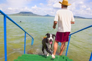 kutya-strand-fonyod-balatonboglar-balaton-hajozashu
