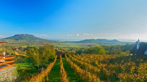 idojaras-elorejelzes-itt-van-az-osz-balaton-vitorlazas-sailing-badacsony-szolo-hajozashu