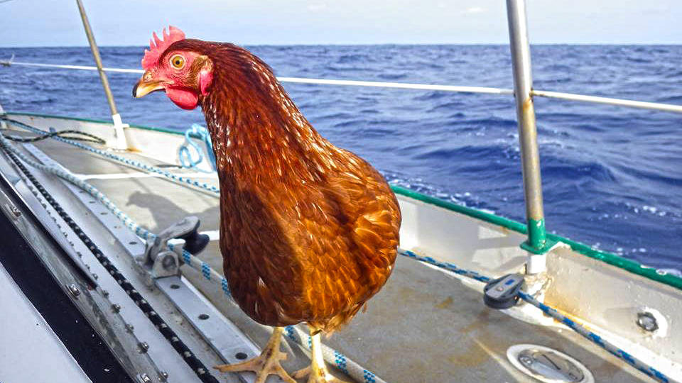 guirec-soudee-adventure-tyukkal-hajozza-korbe-a-foldet-vitorlazas-vitorlashajo-foldkorul-hajozashu1