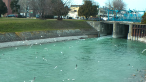 sio-zsilip-nyitva-engedik-a-balaton-vizet-magas-vizallas-meteorologia-siofok-hajozashu