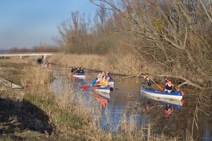 4szilveszteri-evezes-heviz-patak-balaton-kajak-kenu-hajozashu