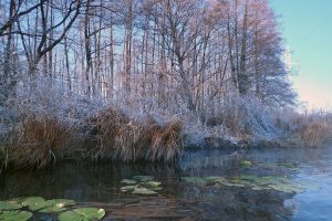 5szilveszteri-evezes-heviz-patak-balaton-kajak-kenu-hajozashu