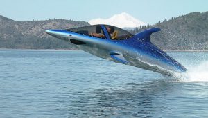 seabracher-delfin-balna-jacht-yacht-hajo-hajozashu