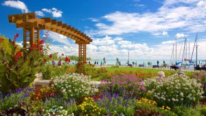 Balatonfured Tagore Setany Vitorlas Ter BALATON.travel Virag