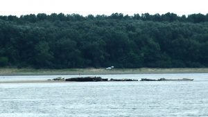 Prahovo Danube Duna Hajoroncs Shipwreck HAJOZASHU