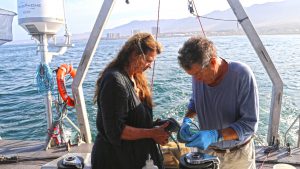 Tenger Biologusok Szemetsziget Csendes Ocean 2.5Millio Negyzetkilometer Vitorlazas HAJOZASHU