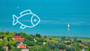 Balatoni Halsutode Sulthal Balaton Hekkezo Sullo Balatonihal HAJOZASHU