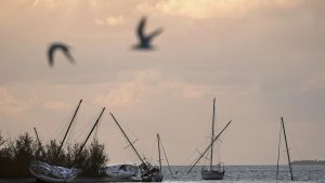 Irma-Hurricane-Hurrikan-Miami-Florida-Yacht-Boat-Ship-Port-Marina-Harbor-HAJOZASHU