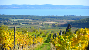 Balaton Felvidek Osz Szuret CsodalatosBalaton HAJOZASU Vitorlazas