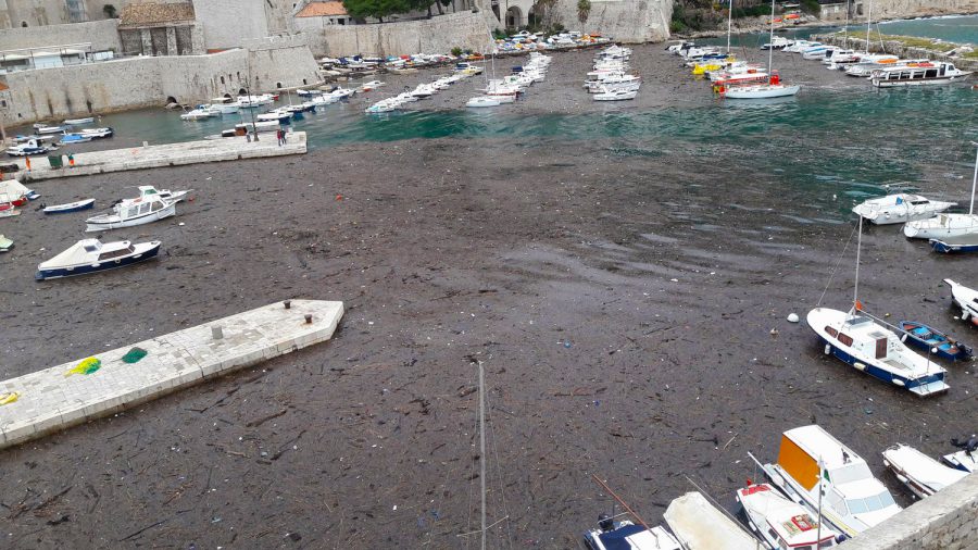 Belefullad Dubrovnik az albániai szemétbe