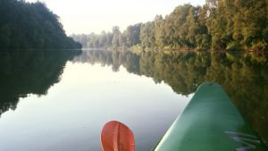 Tisza-6Pet-Kupa-szemetgyujtes-HAJOZASHU