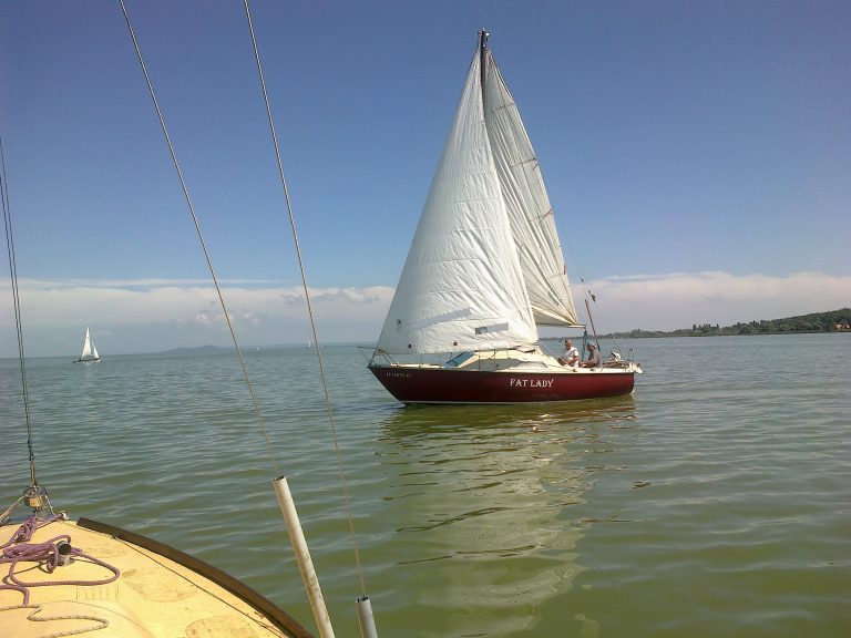 A „Kövér hölgy ” eladó