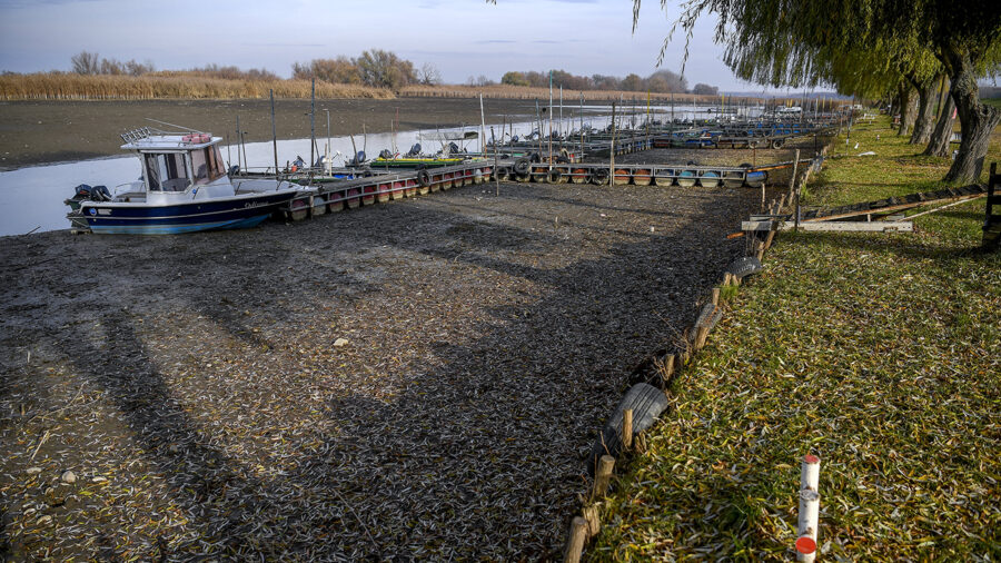 Leengedik téli vízszintjére a Tisza-tavat