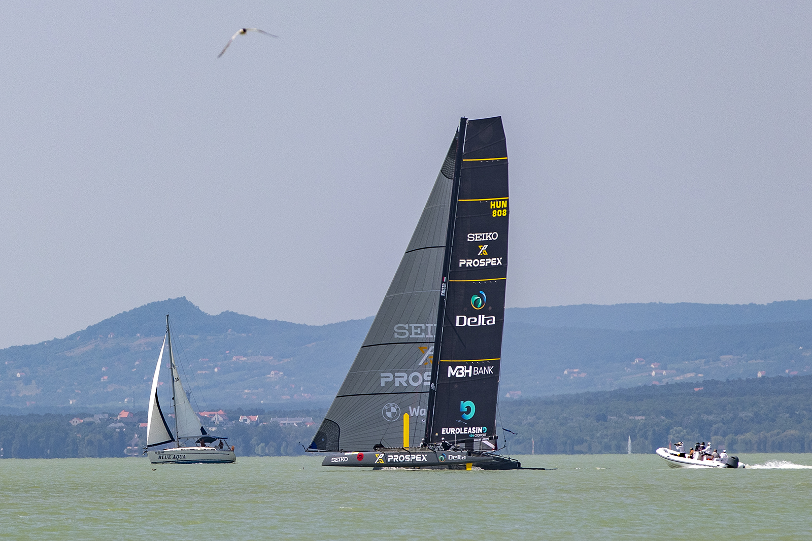 56. KÉKSZALAG – ÉLŐ közvetítés, folyamatosan frissülő cikk a versenyről