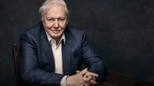 Óceán – A 99 éves Attenborough új filmje