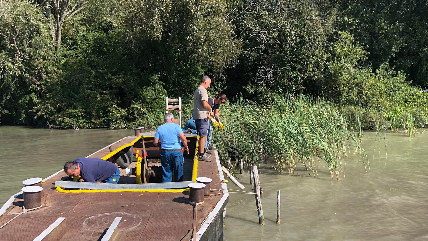 Összefogást hirdettek a vízi polgárőrök a Balatonban hagyott karók eltávolítására